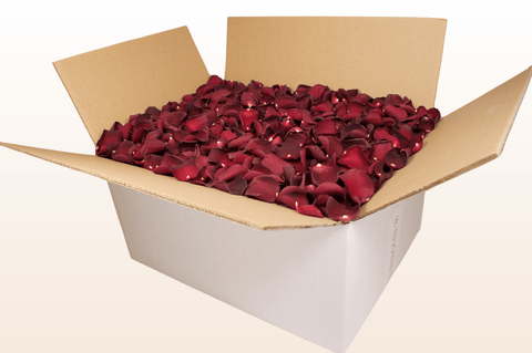 Confezione da 24 litri