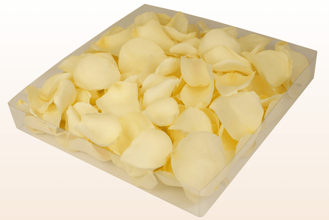 Confezione da 1 litro