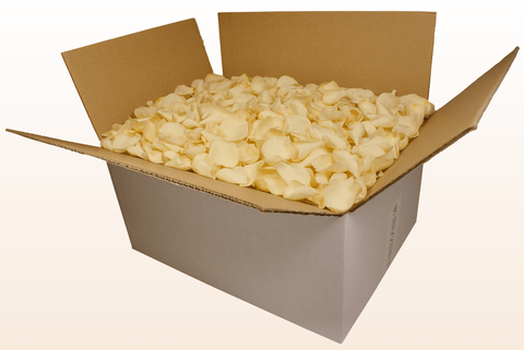 Confezione da 24 litri