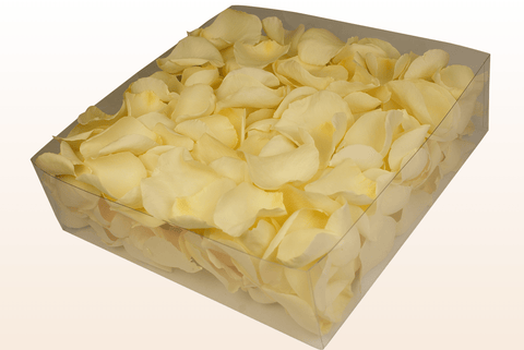 Confezione da 2 litri