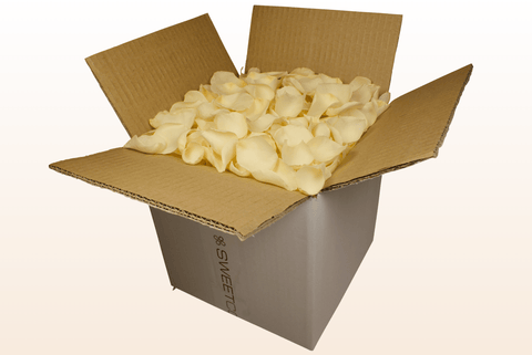 Confezione da 8 litri