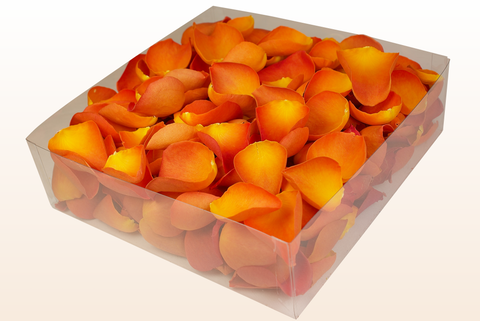 Confezione da 2 litri