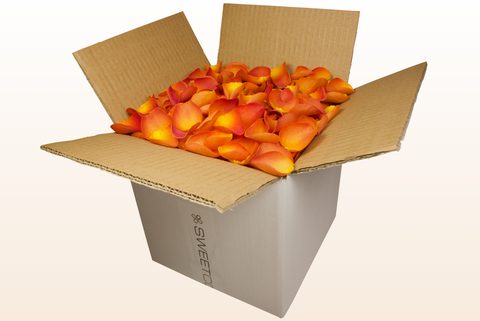 Confezione da 8 litri