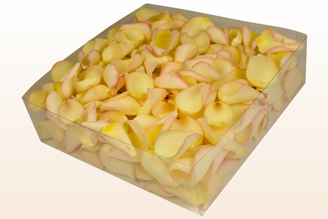 Confezione da 2 litri