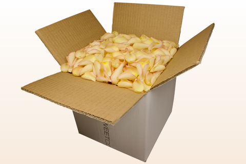 Confezione da 8 litri