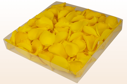 Confezione da 1 litro