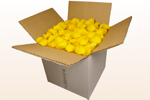 Confezione da 8 litri