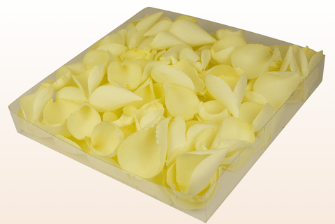 Confezione da 1 litro