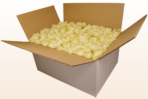 Confezione da 24 litri