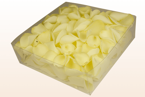 Confezione da 2 litri