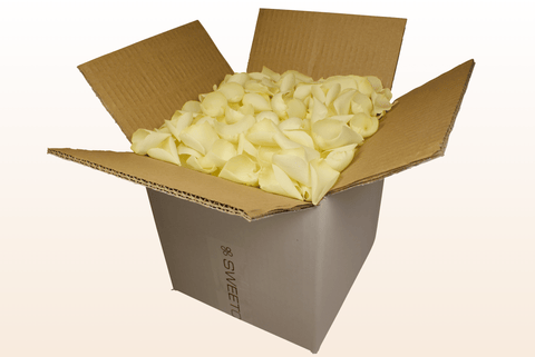 Confezione da 8 litri