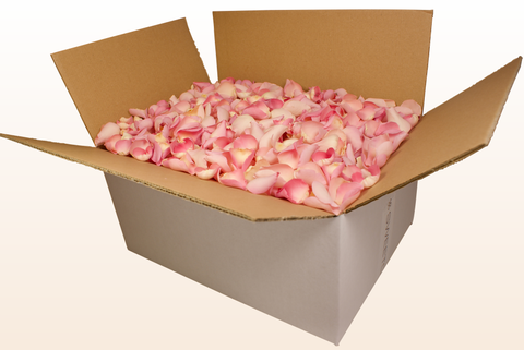 Confezione da 24 litri