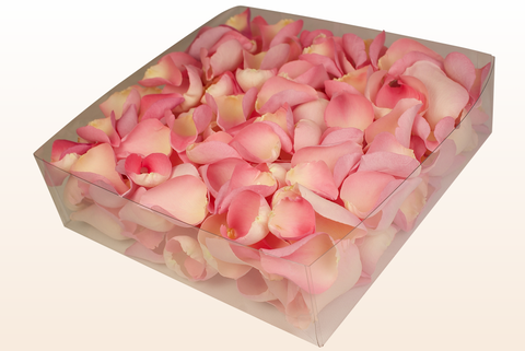 Confezione da 2 litri