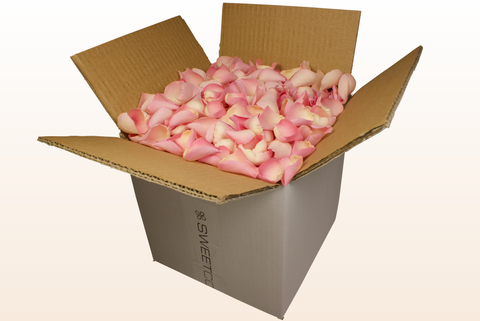 Confezione da 8 litri