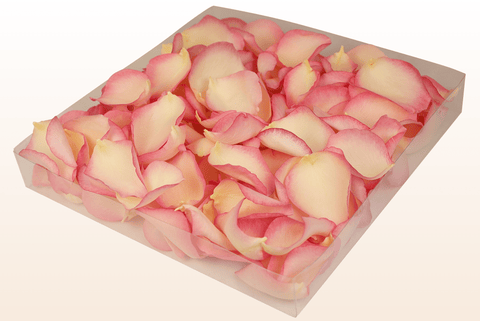 Confezione da 1 litro