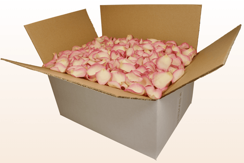 Confezione da 24 litri