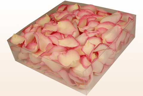 Confezione da 2 litri