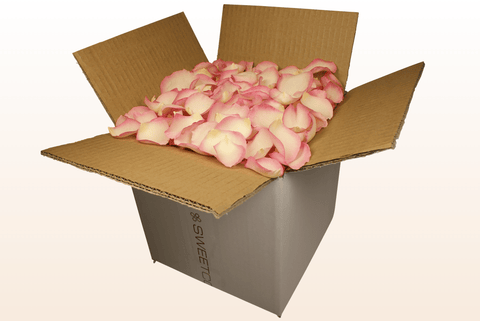 Confezione da 8 litri