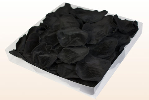 Confezione da 1 litro