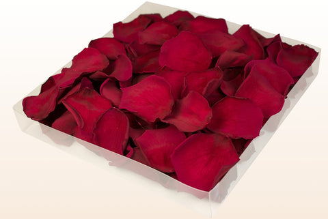 Confezione da 1 litro