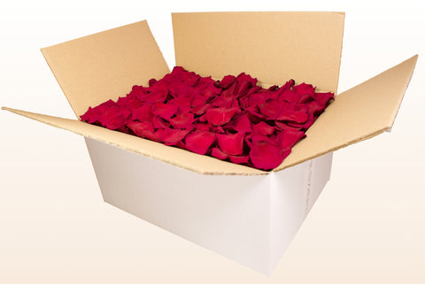 Confezione da 24 litri