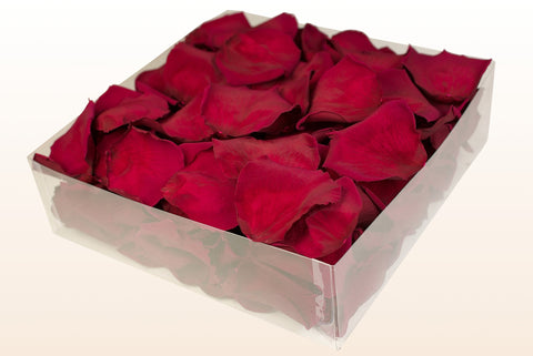 Confezione da 2 litri