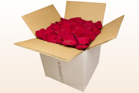 Confezione da 8 litri