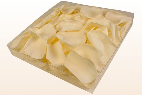 Confezione da 1 litro