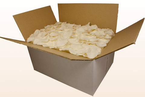 Confezione da 24 litri