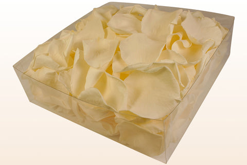 Confezione da 2 litri