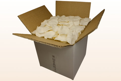 Confezione da 8 litri