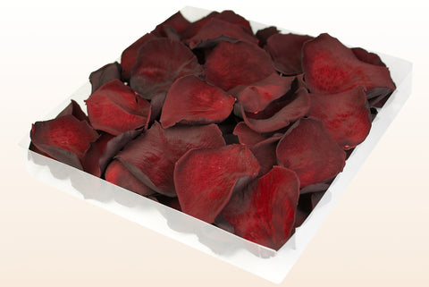 Confezione da 1 litro