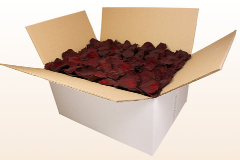 Confezione da 24 litri