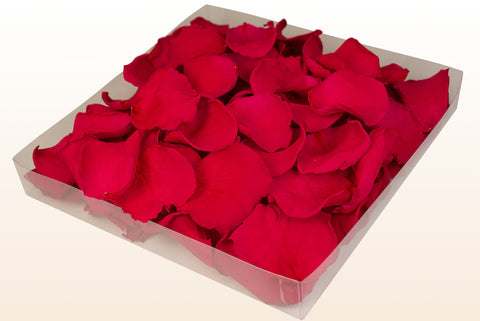 Confezione da 1 litro