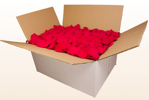 Confezione da 24 litri