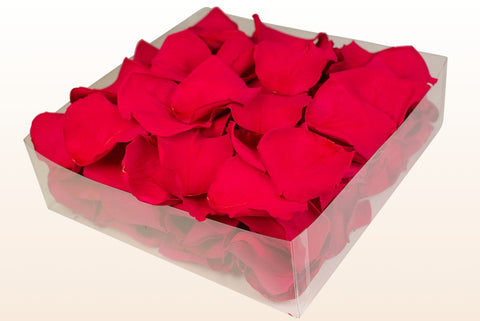 Confezione da 2 litri