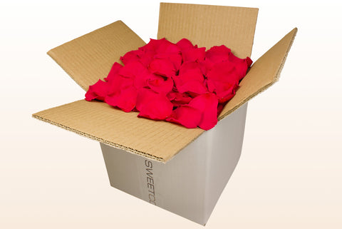 Confezione da 8 litri