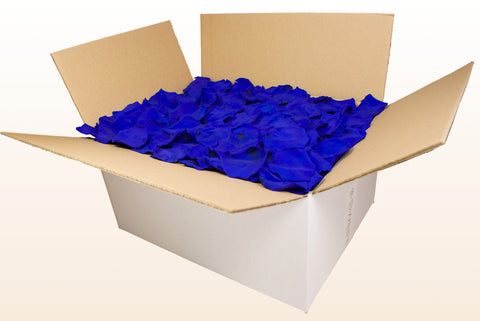 Confezione da 24 litri