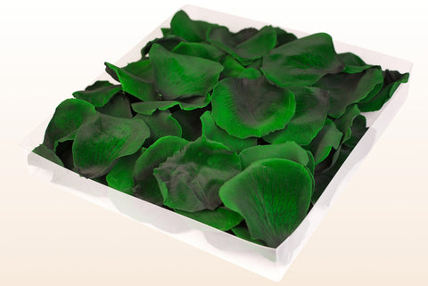 Confezione da 1 litro