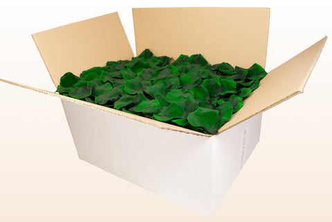 Confezione da 24 litri