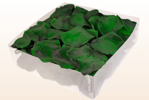 Confezione da 2 litri