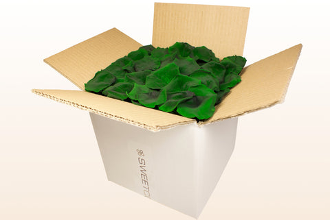 Confezione da 8 litri