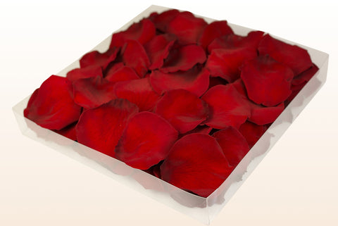 Confezione da 1 litro