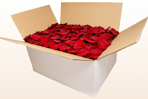 Confezione da 24 litri