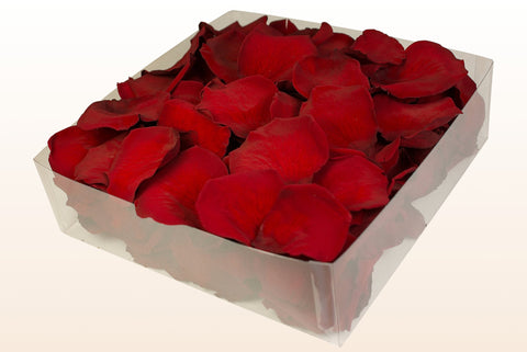 Confezione da 2 litri