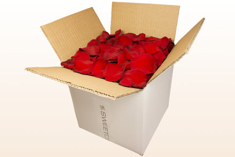 Confezione da 8 litri