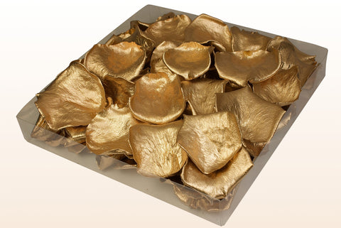 Confezione da 1 litro