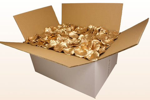 Confezione da 24 litri