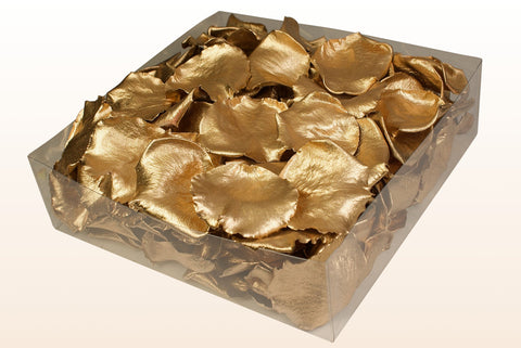 Confezione da 2 litri