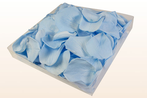 Confezione da 1 litro